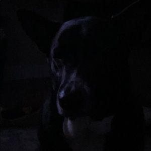 Meet your Posher, Richard